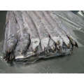lianyungang zonghe international trading company